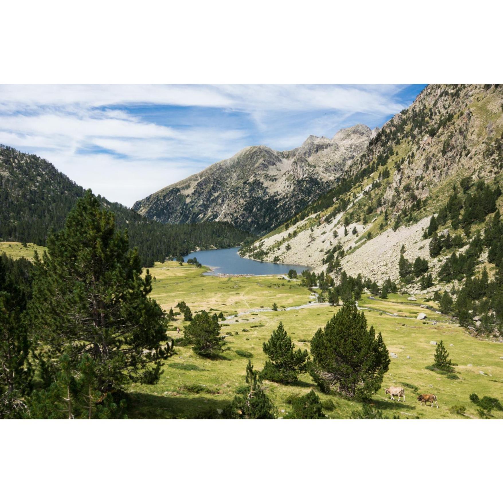 Charmant T3 Avec Vue Montagne Et Parking Privatif Font-Romeu-Odeillo-Via Екстериор снимка